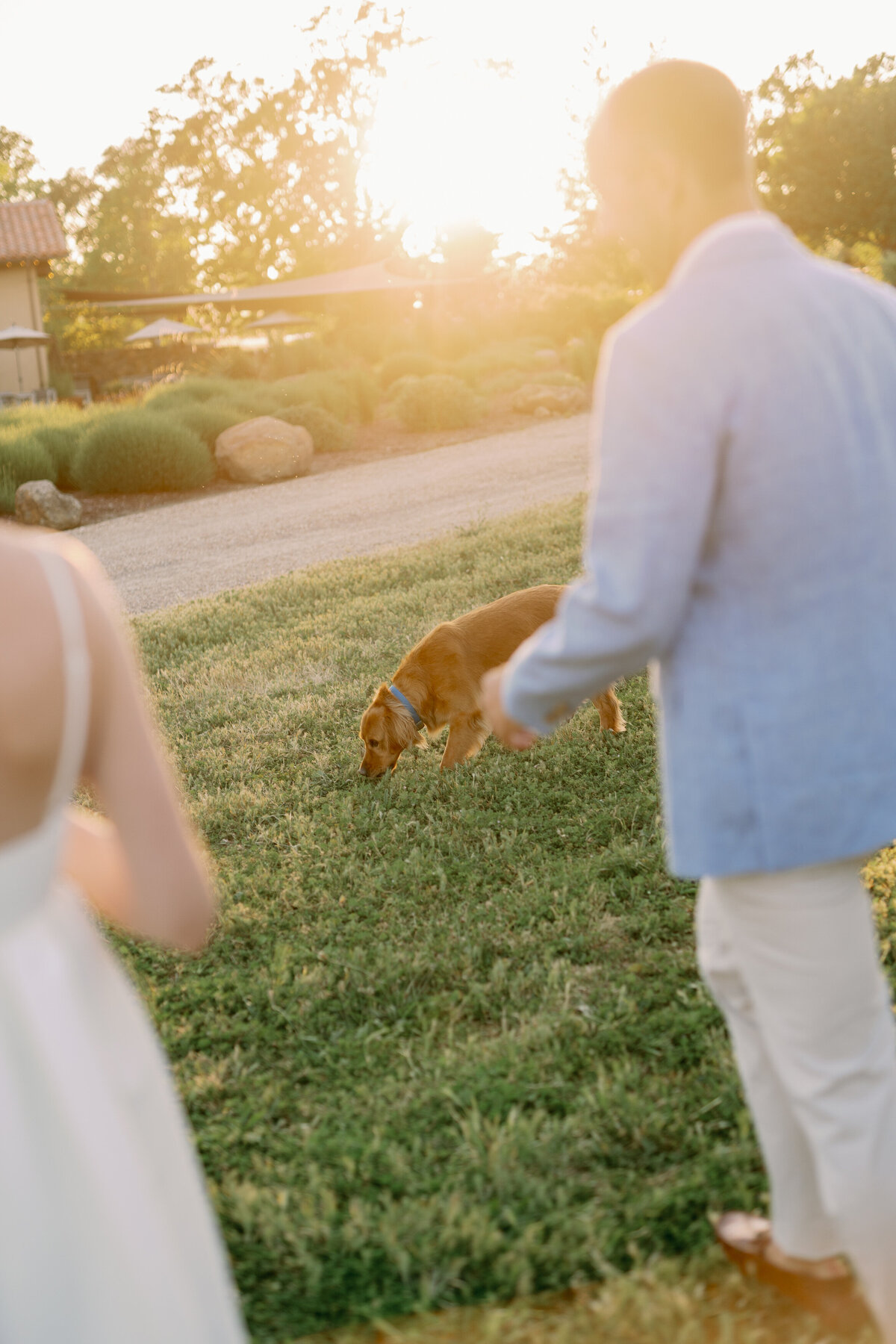 5.11.24_c + k_ st francis winery_rehearsal dinner-113