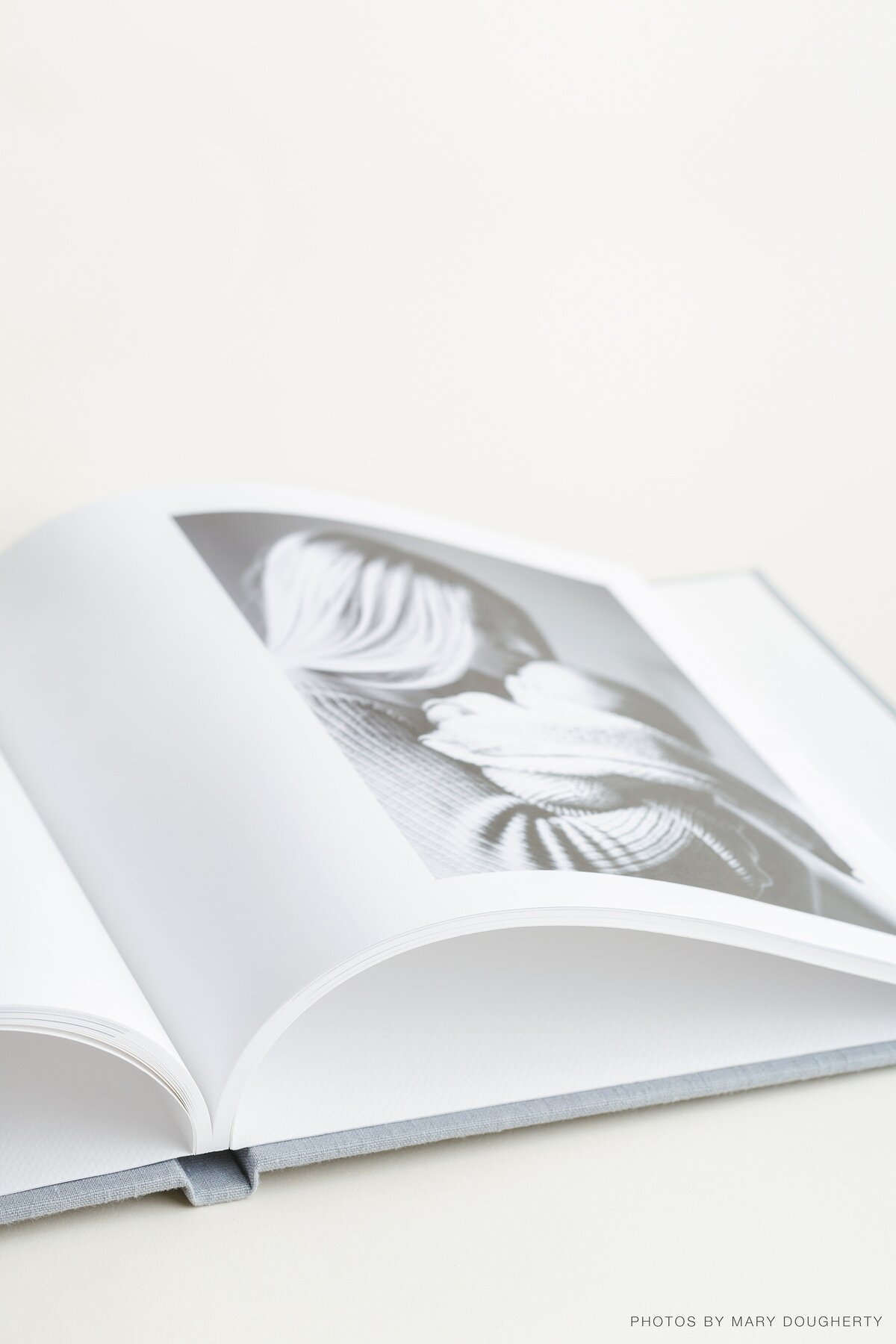 RedTree-Albums-Hardcover Book, Mary Dougherty-170