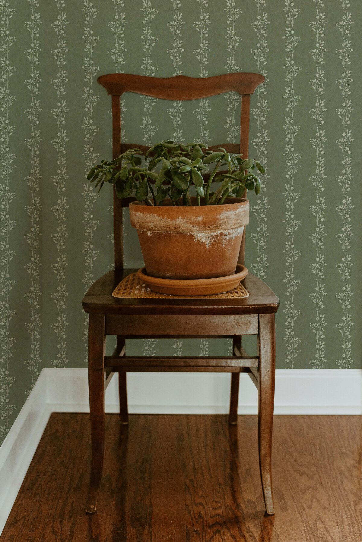 May Mockup Chair Plant