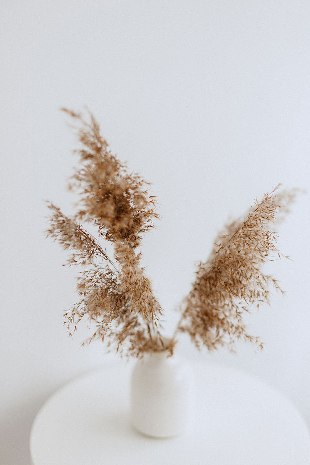 ellieelien-2QRkCnsaqpM-unsplash
