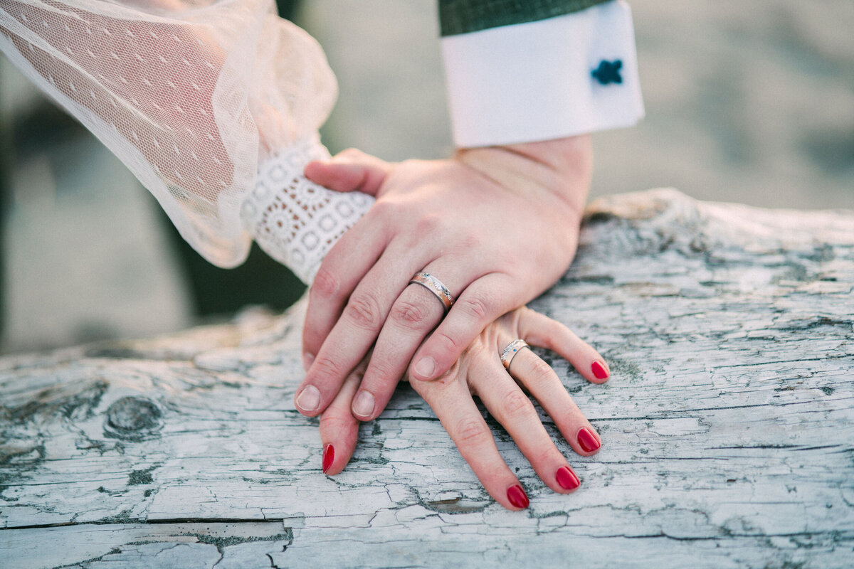 Olympic National Park elopement