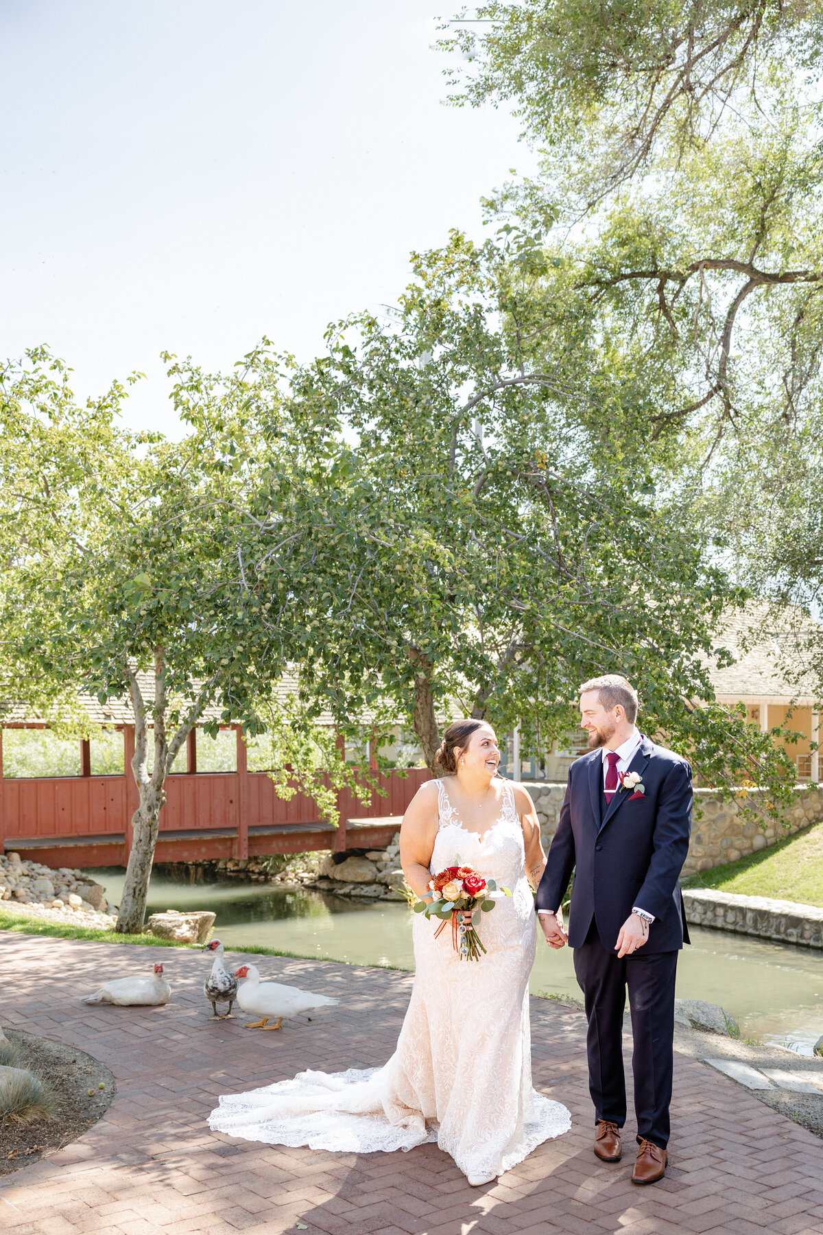 Walking down a red-brick path, the bride and groom are hand in hand and smiling at each other as 3 ducks follow behind.