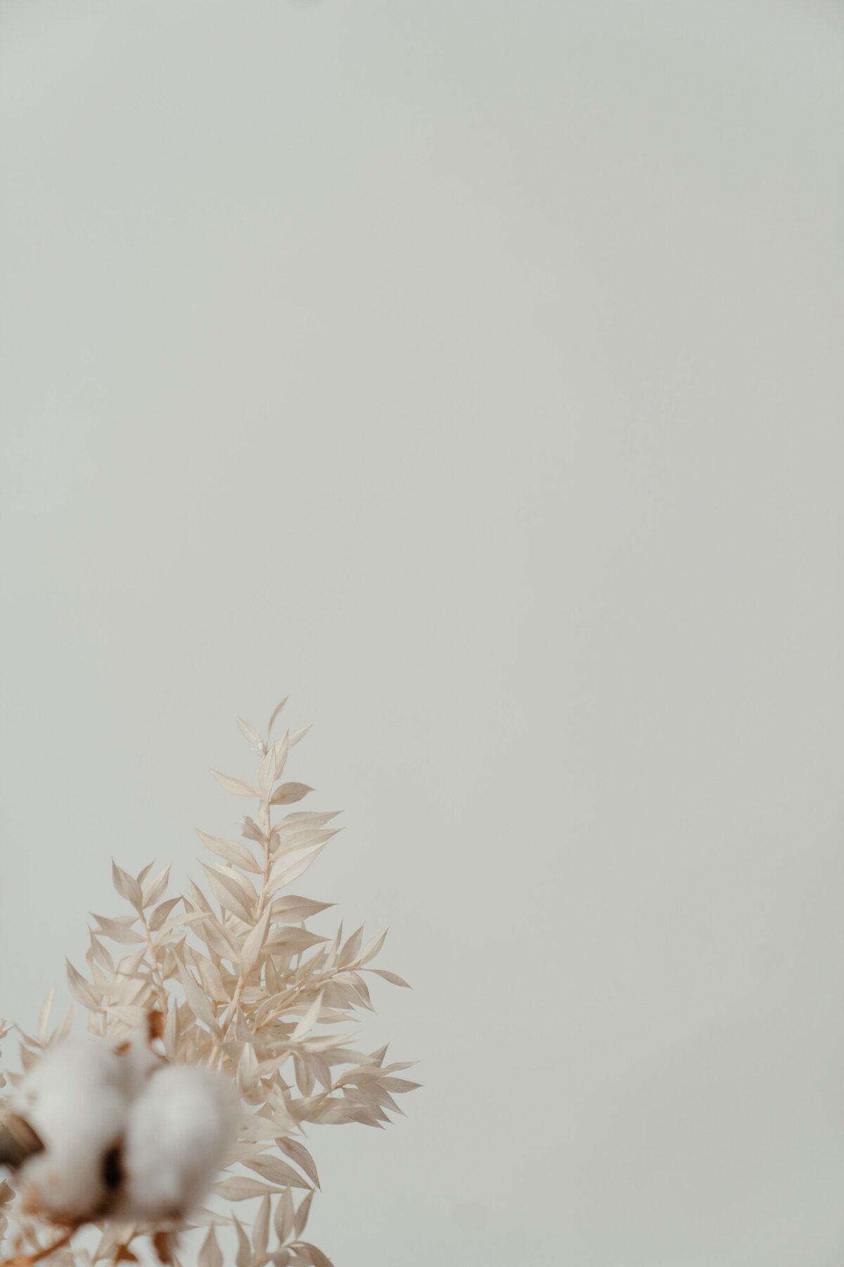 pexels-cottonbro-studio-4273438