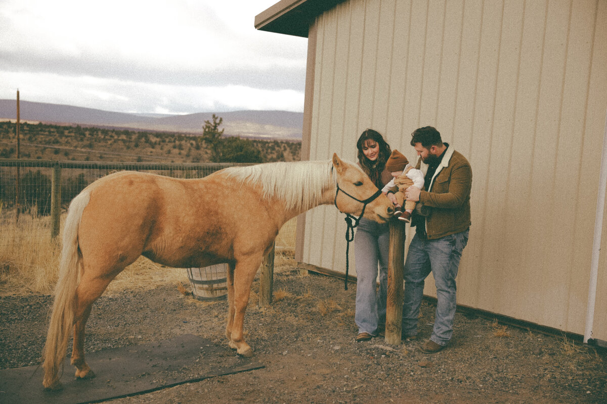 Family Session with Parents Introducing Baby to Horse on Countryside Farm