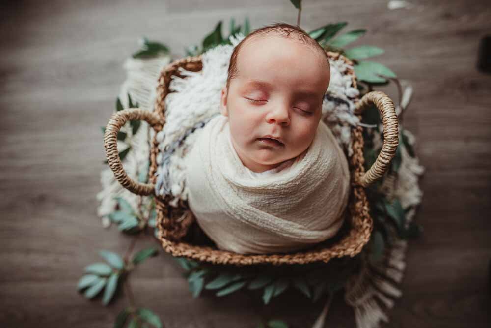 Elizabeth Priniski Madison Newborn Photographer twins