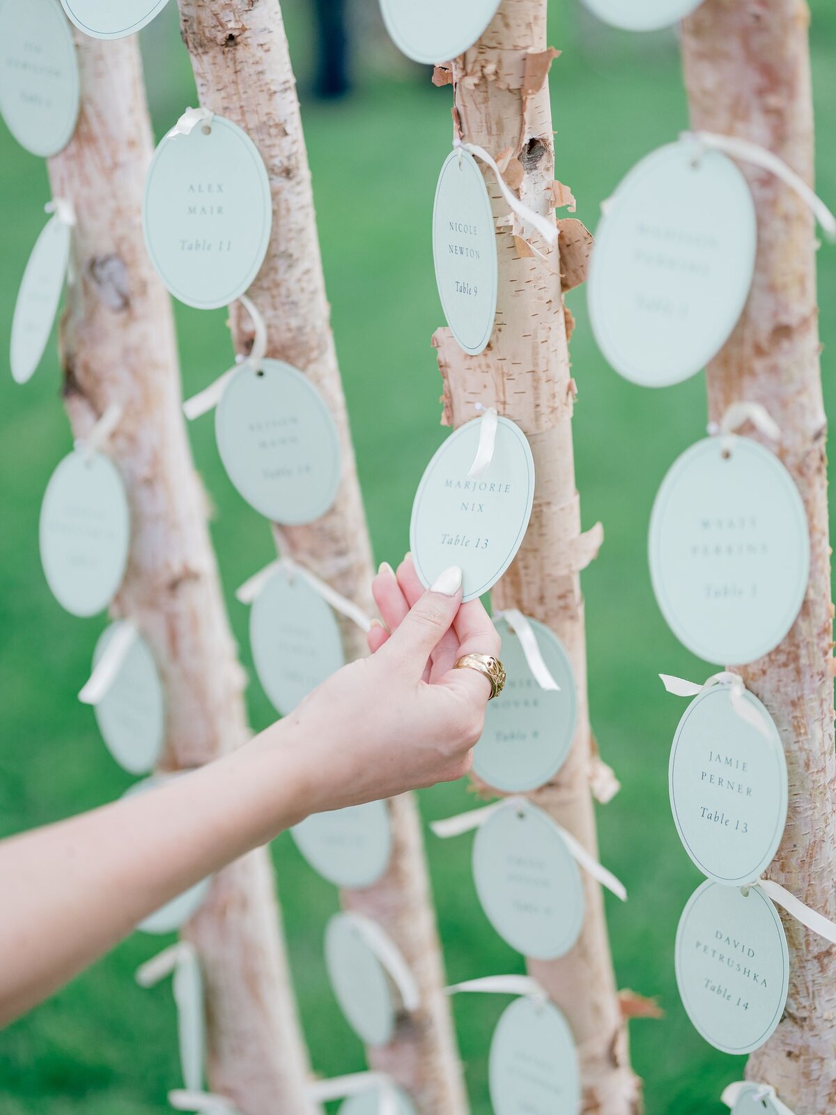 escort-display-aspen-trees-interactive