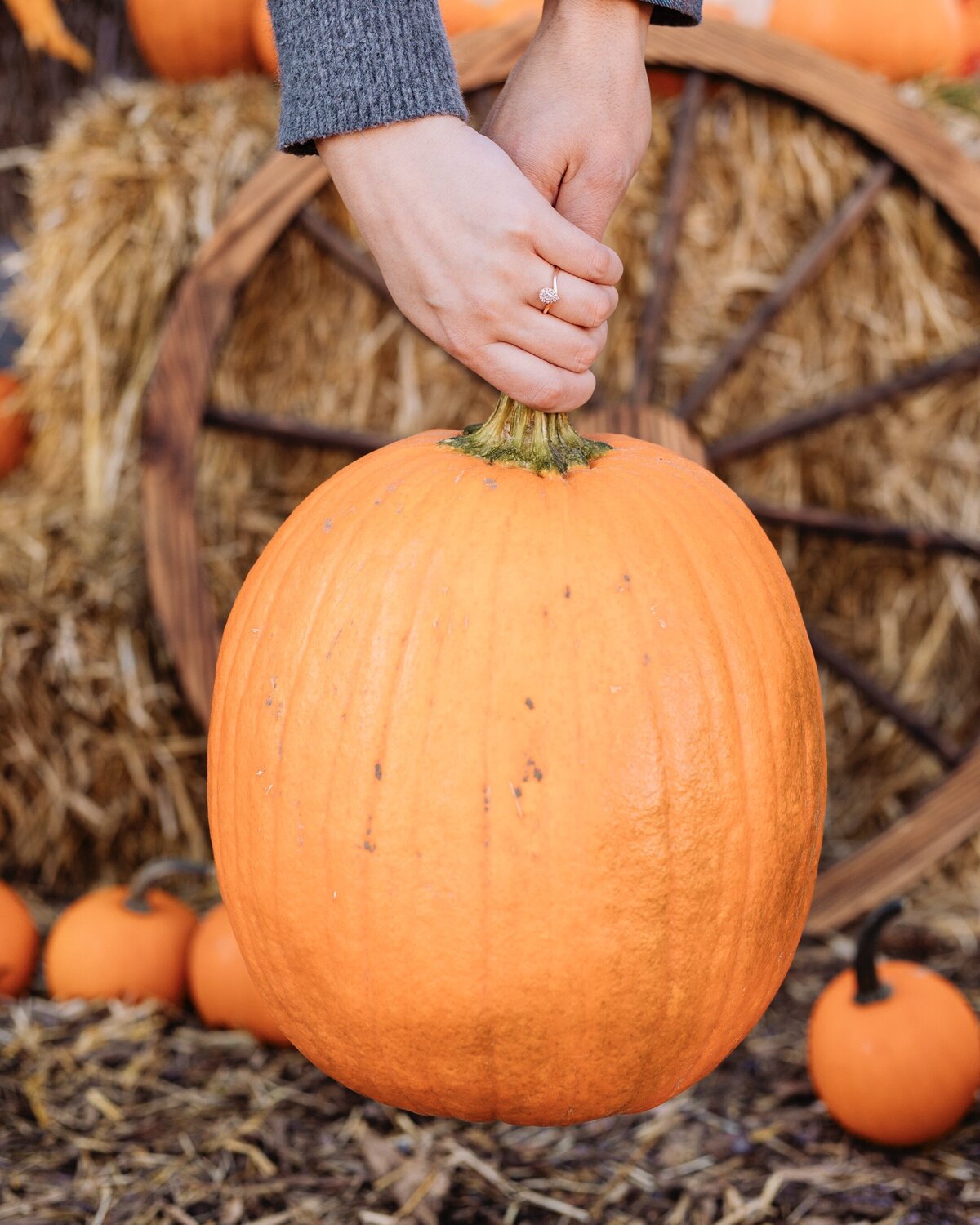 engagement-ring-with-pumpkin