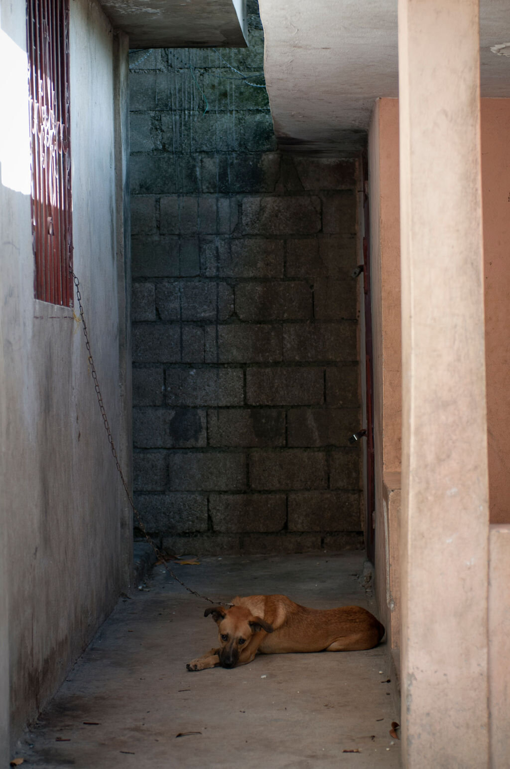Wee_120815_3747