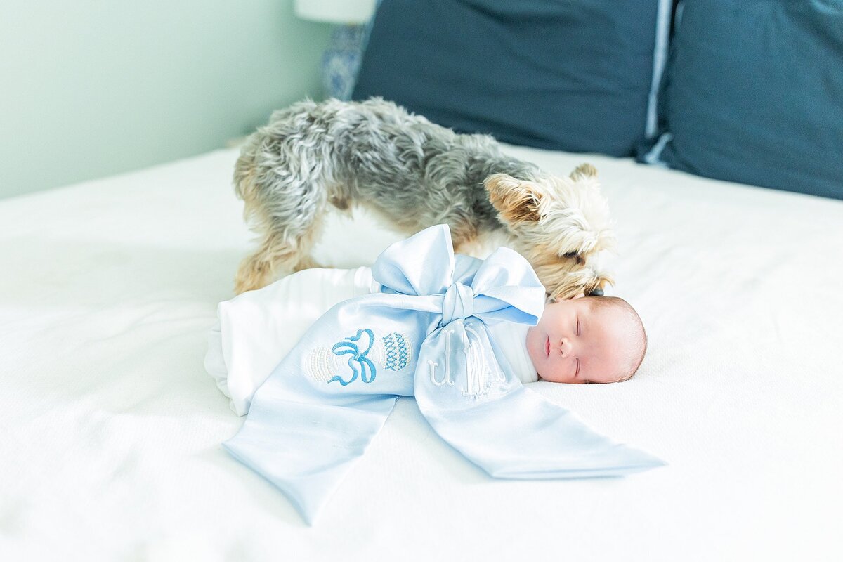 Abby Rogers photography whaley newborn-49