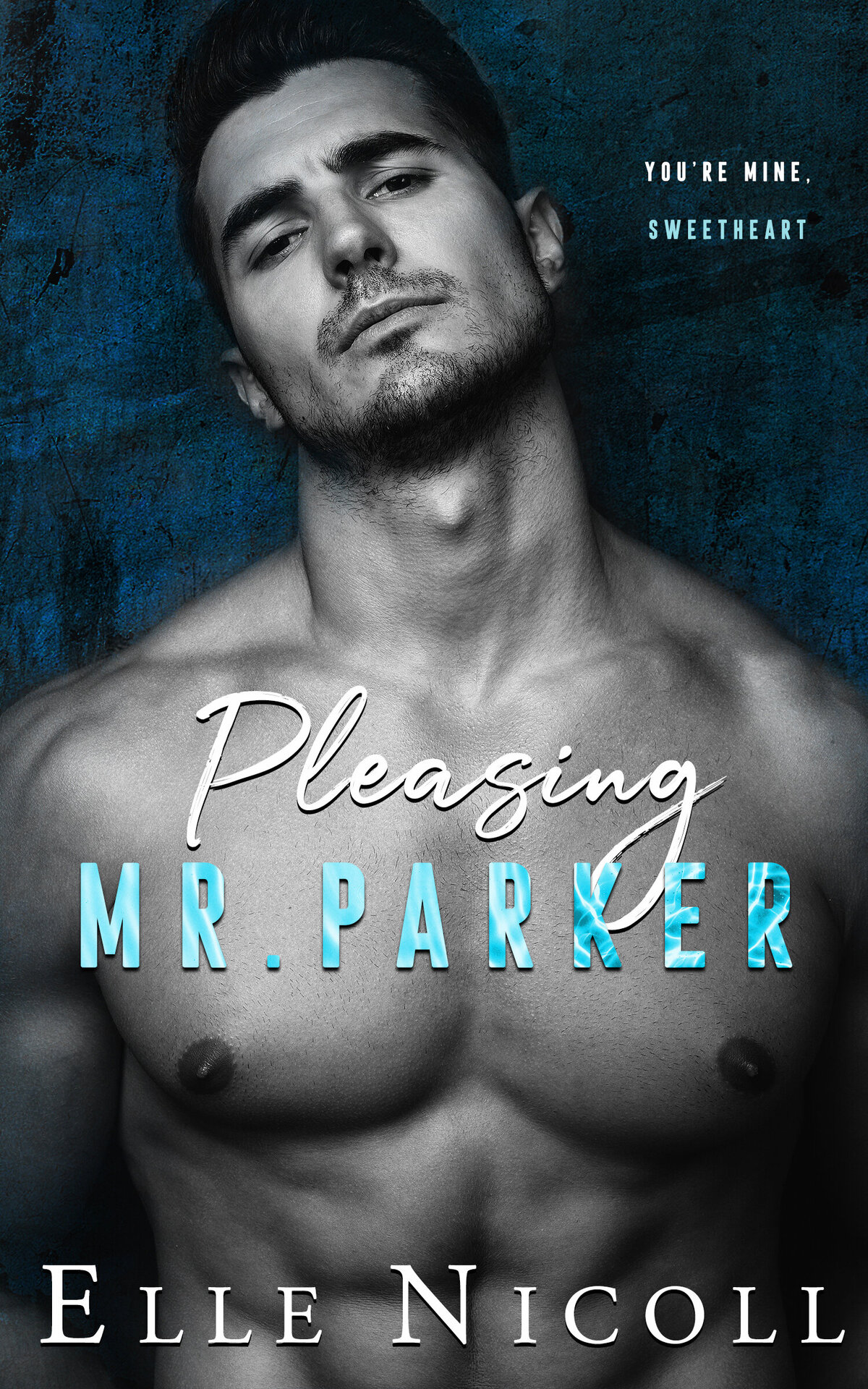 Pleasing Mr. Parker Ebook