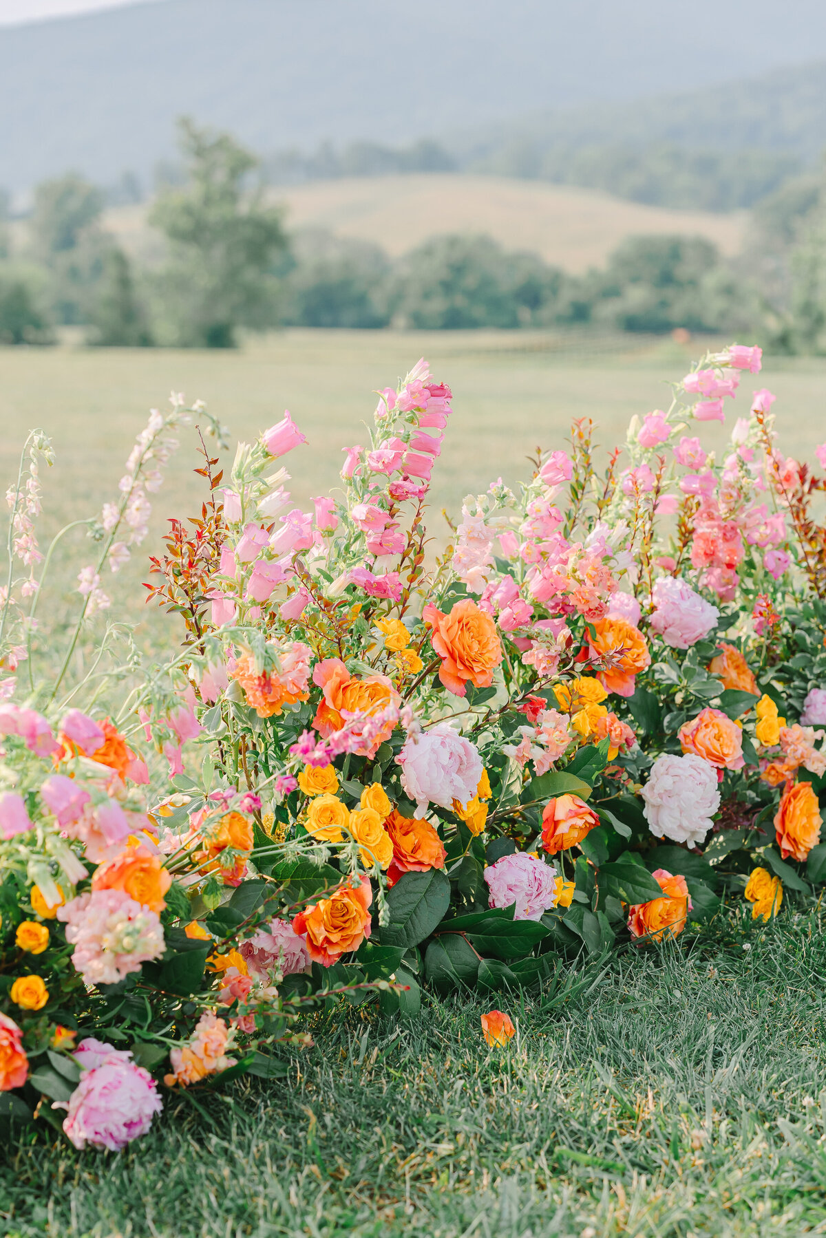 Shelby + Evan - Wedding 2023 - King Family Vineyard-537