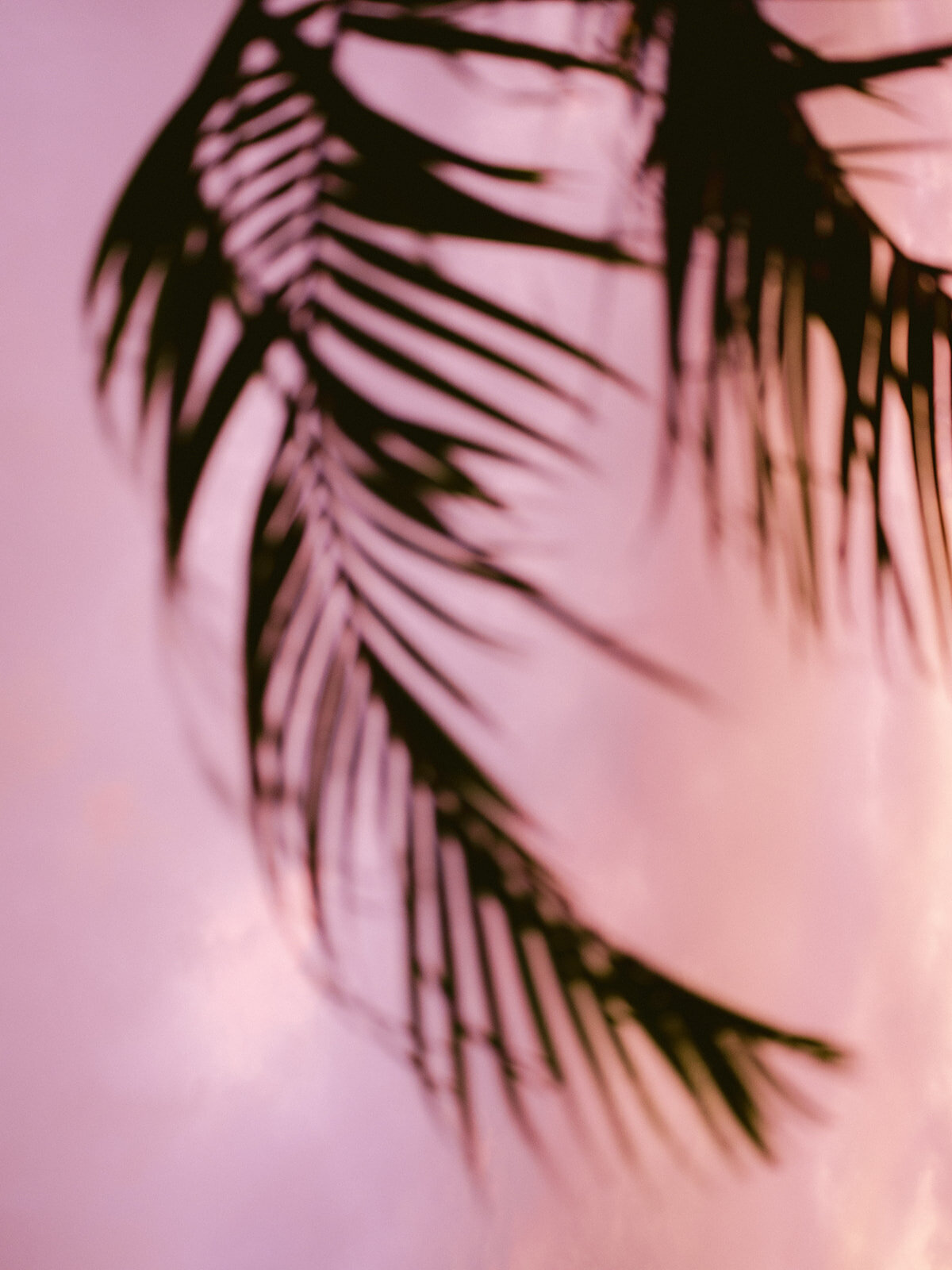 1-BuiltbyBritt-RaisaZwart-Showit-template