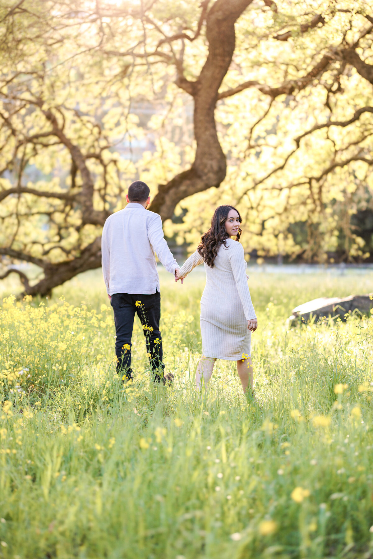 Bay Area Maternity photographer