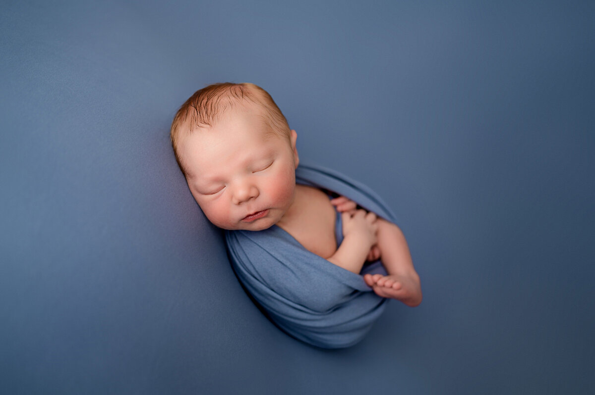 moon township robinson newborn photography studio