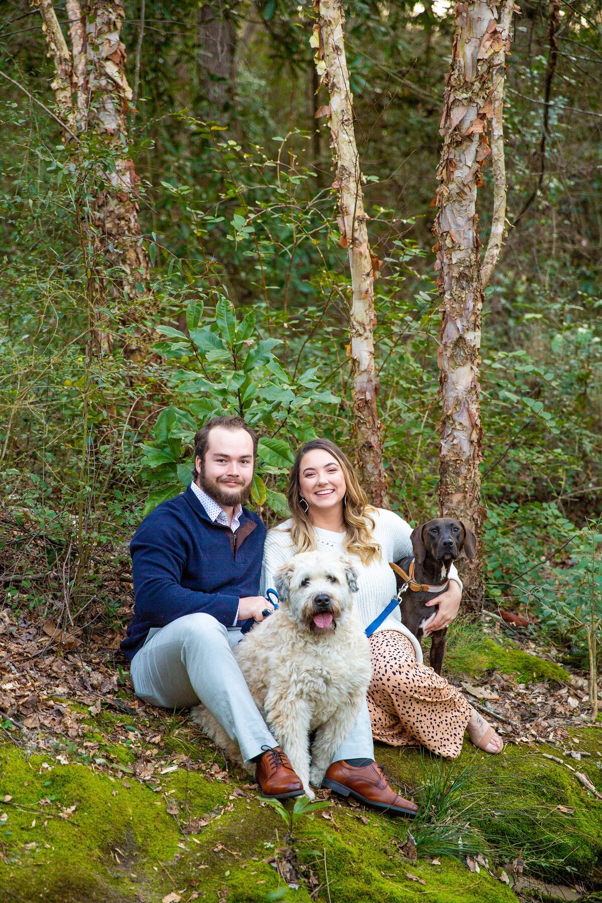 dogs-in-engagement-photos