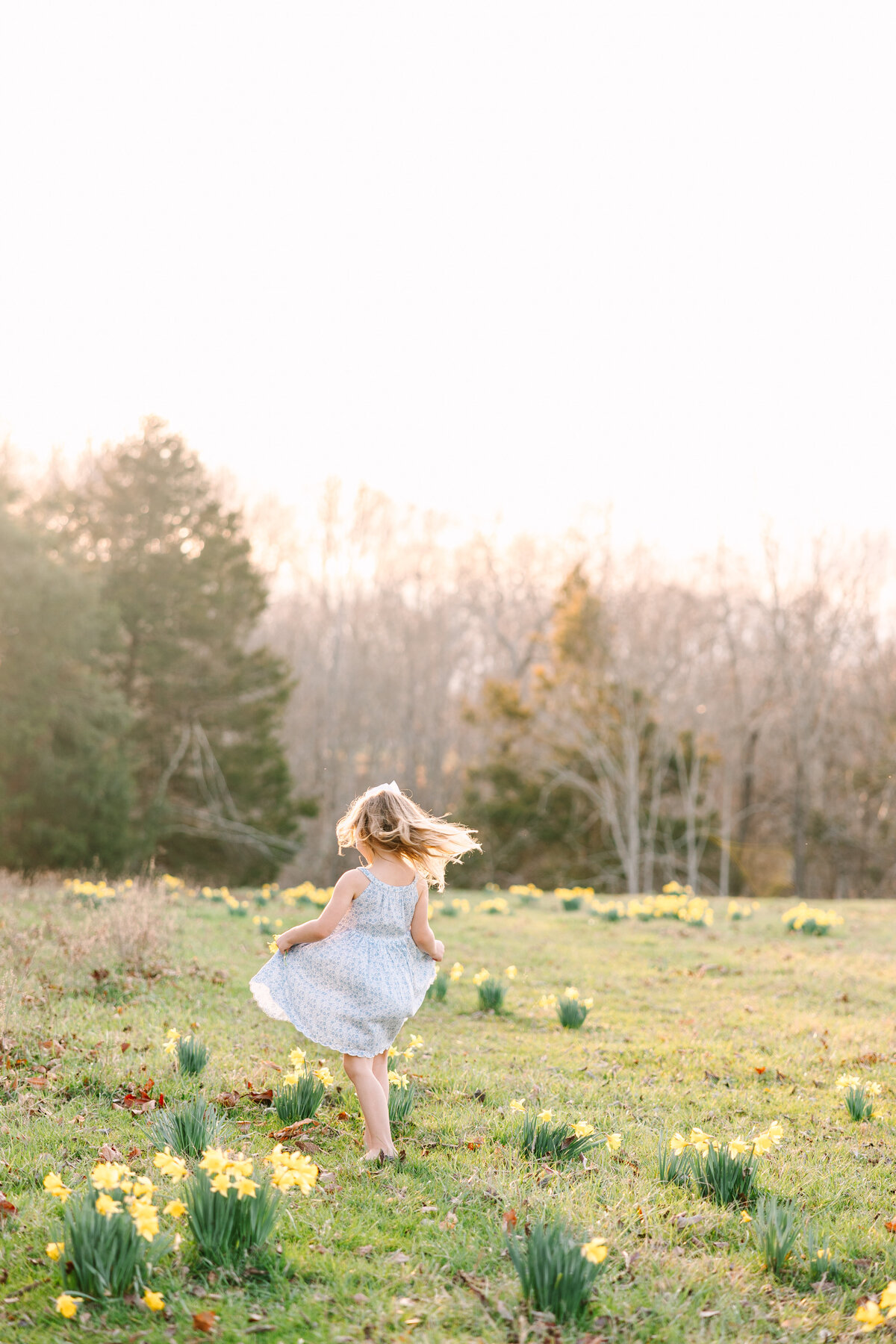 wilson_buttercups_stacyprestonphotography-101