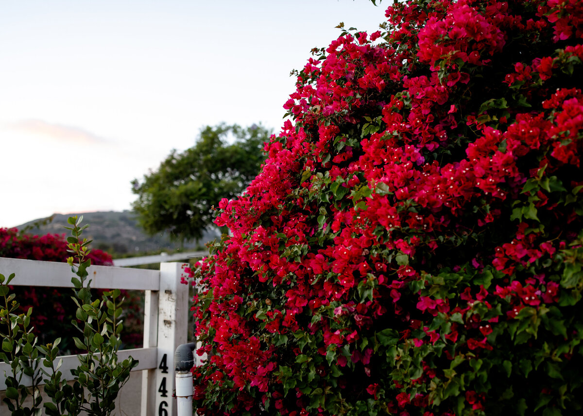10222023_MaryBeth+BryceWedding_VenturaCA_AnjaJensenPhotography-480