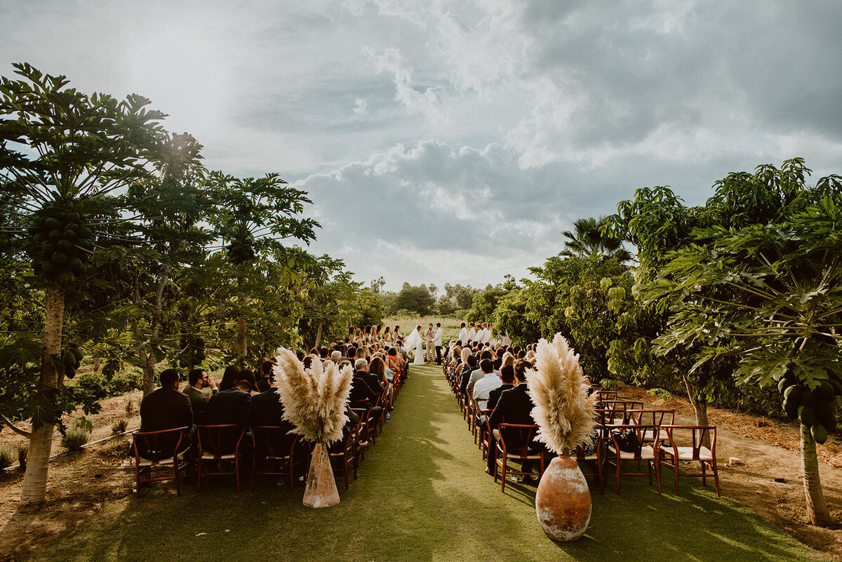 weddings in cabo 141