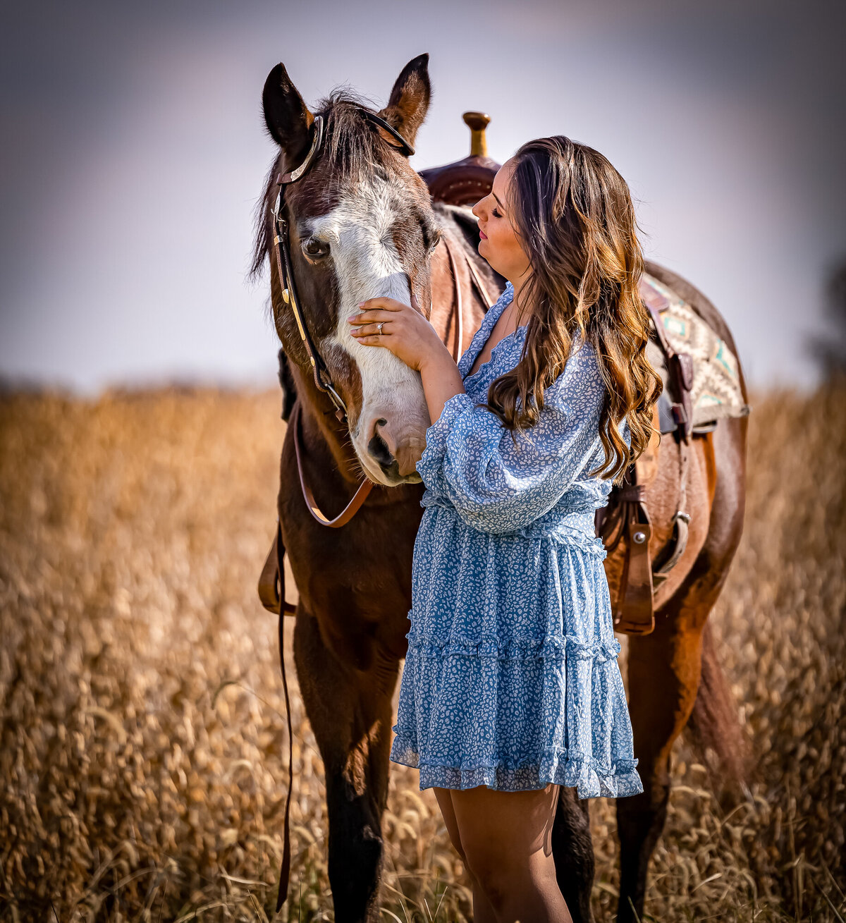 Quarter horse and girl in blue out in field