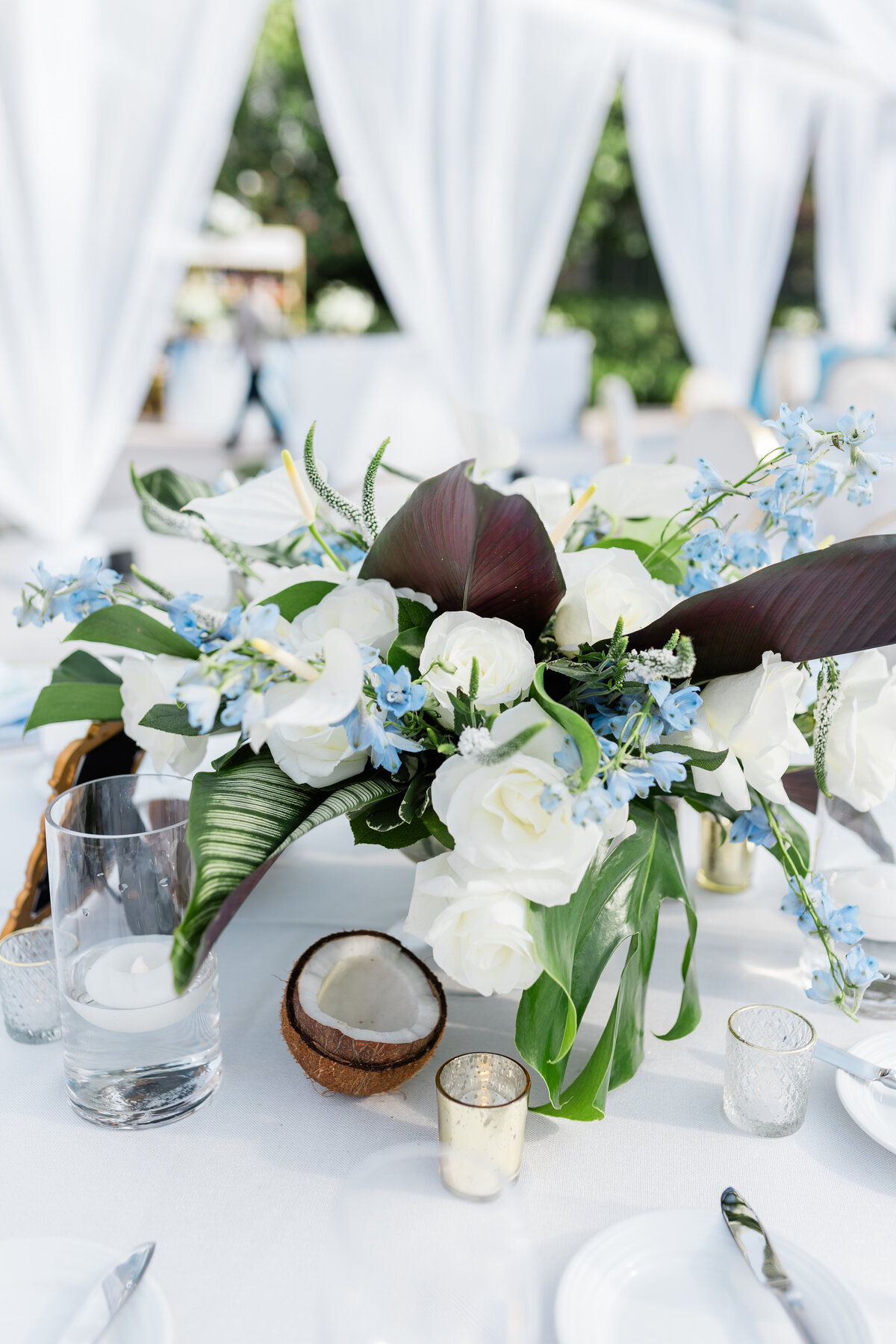 Hotel Bahama WeddingA4109