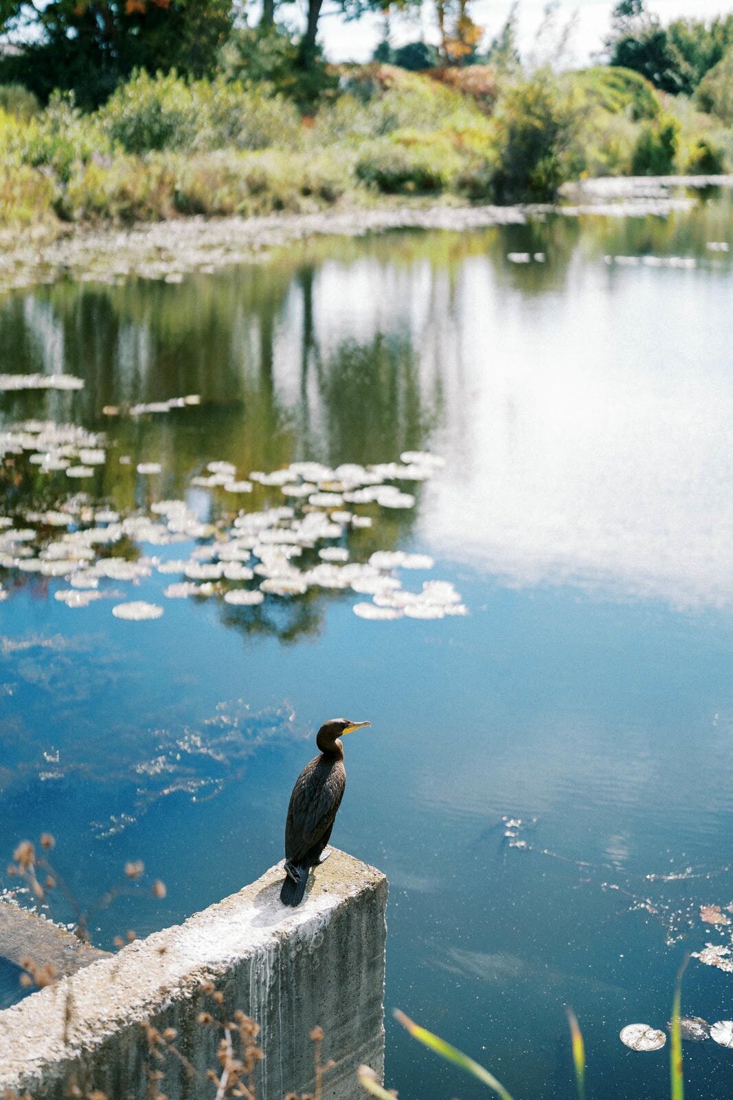 W8-Wedding-events-Deer-Creek-Shelly-and-Alexander-2024-09-28-2500px-1021