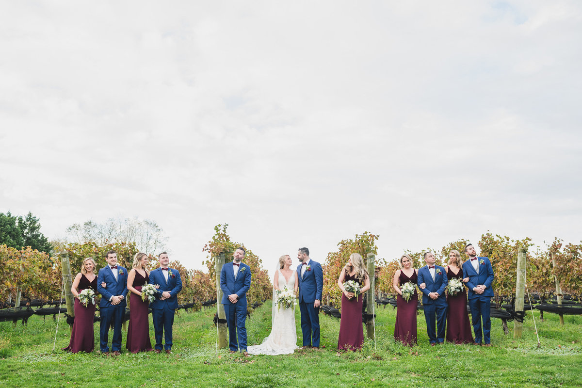 full bridal party wedding photo in vineyards at The Vineyards at Aquebogue