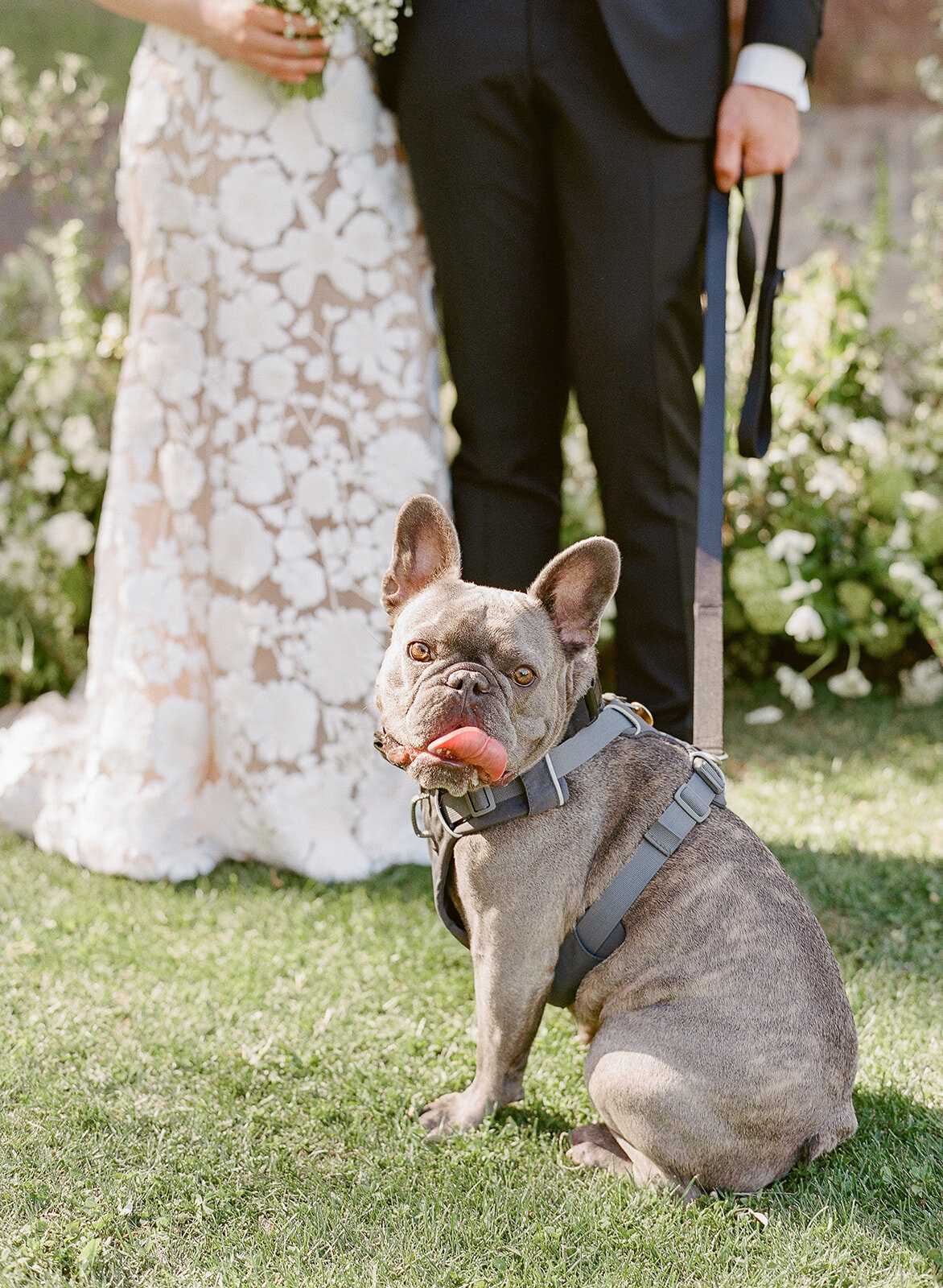 Sam Mike Wedding Highlights-149