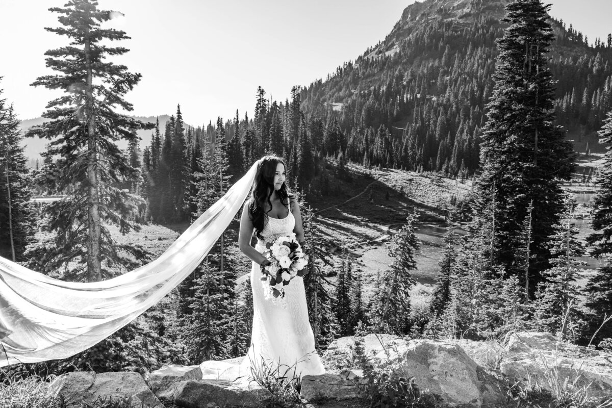 Mount Rainier, Washington Elopement-8530