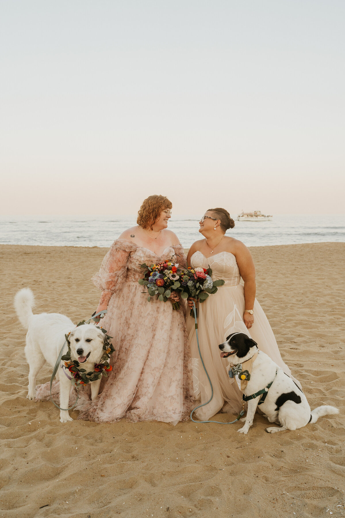 a newlywed couple standing on a beach smiling with a dog on either side of them 