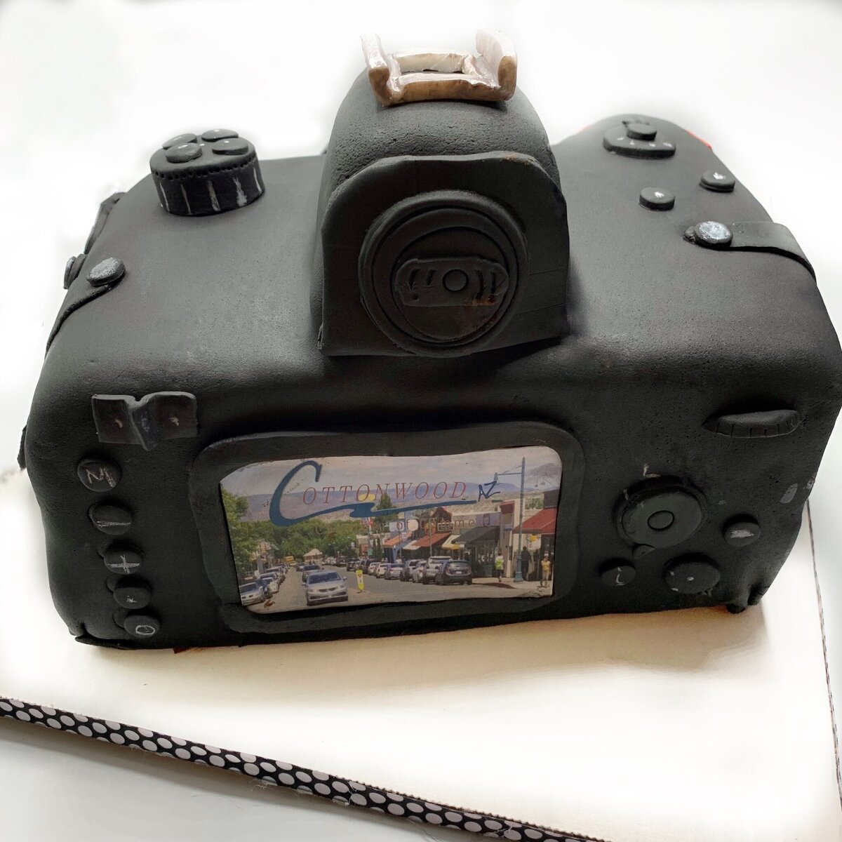 SLR camera cake back view with view finder image