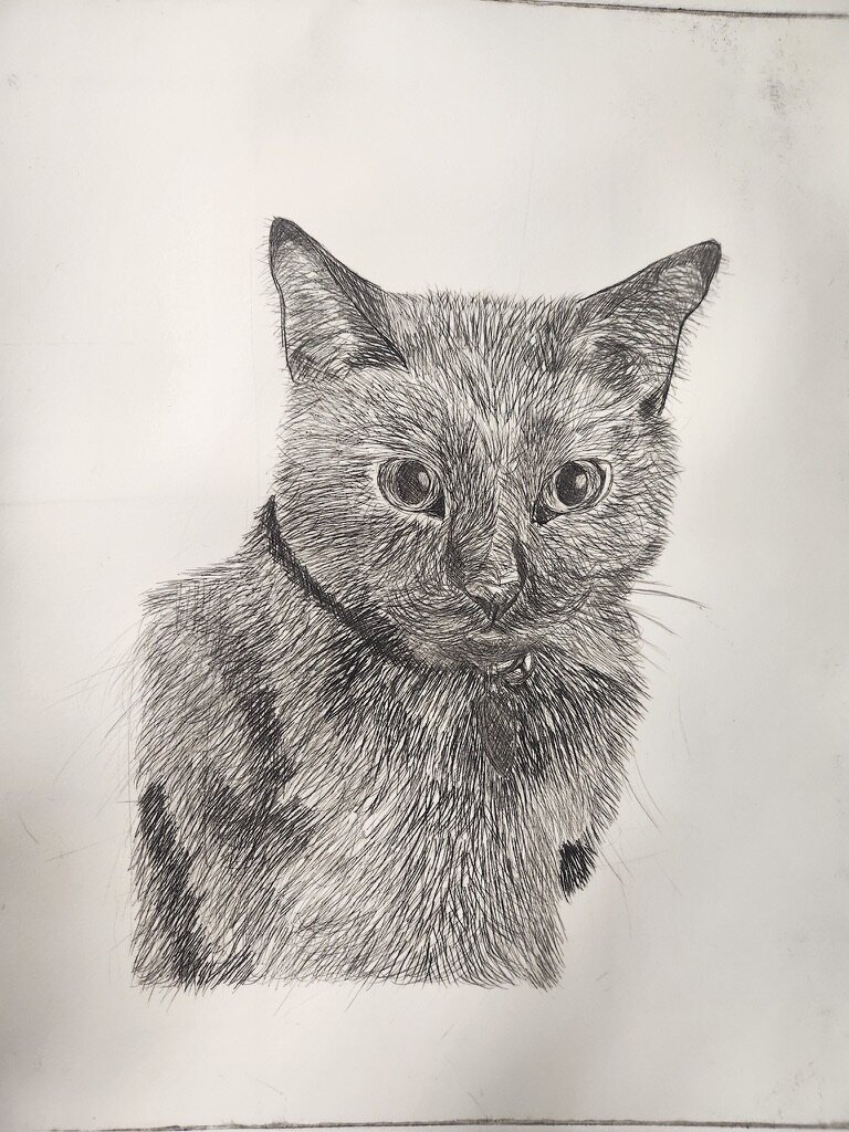 D0817C7C-3B8B-4501-B9C5-022056258BC5_1_105_c