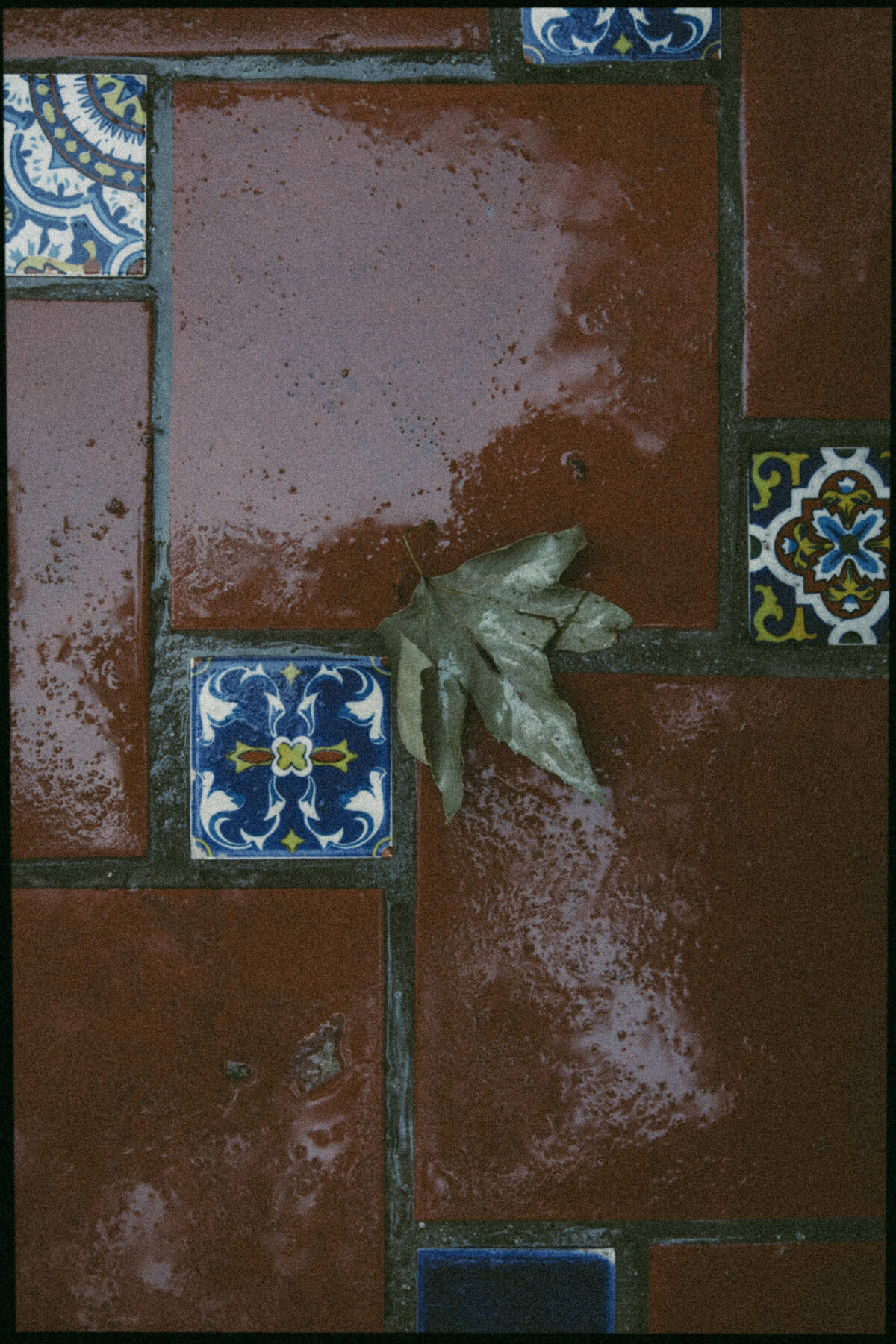 Rancho_las_lomas_Raven_berlin_photo-890