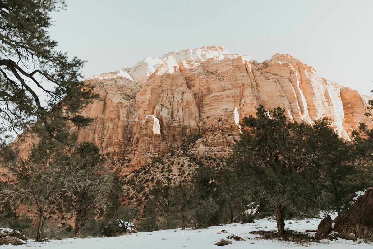 Zion-National-Park-4