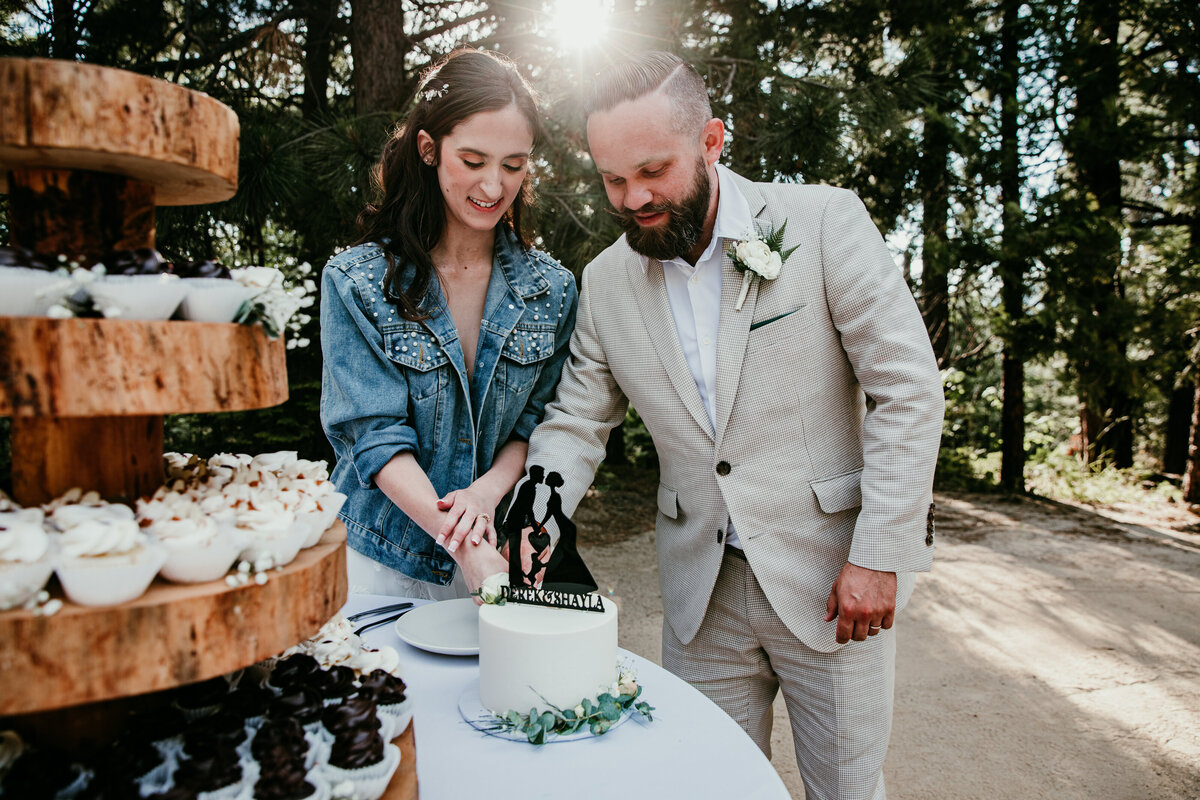 bride and groom cake cutting photos