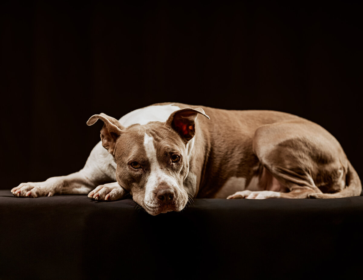 IMG_2485-Edit