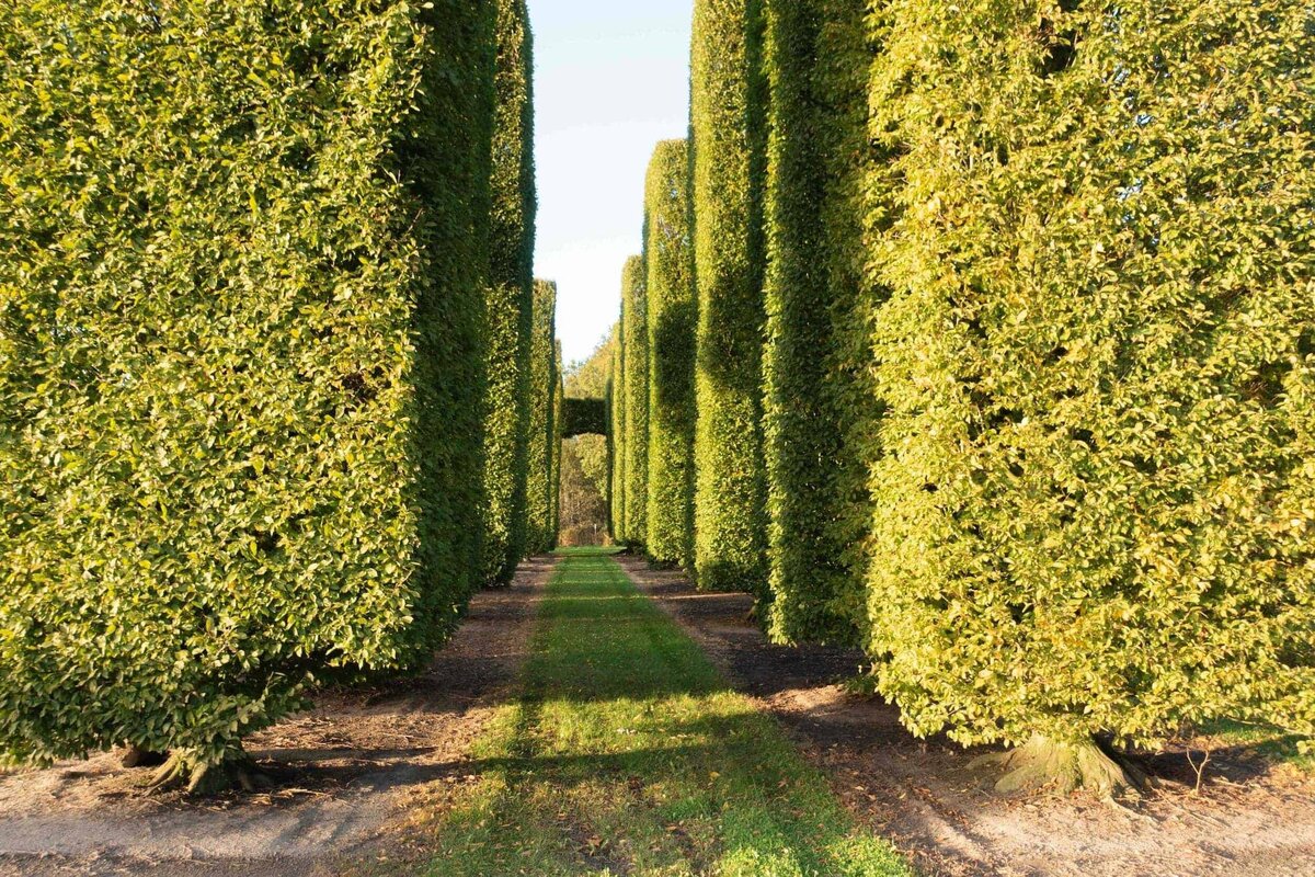 horus-paysages-sourcing-vegetaux-25