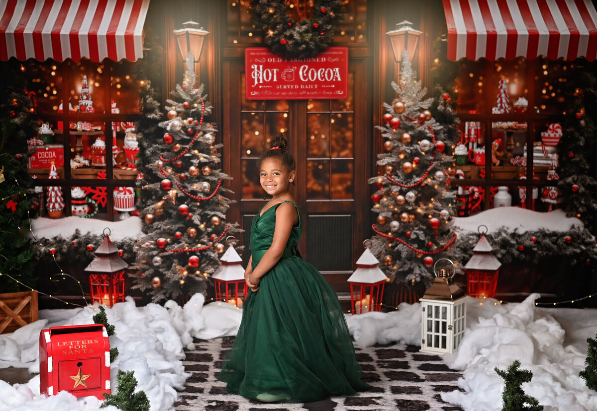 The Santa Expereince- Jevonna Wynter Photography6