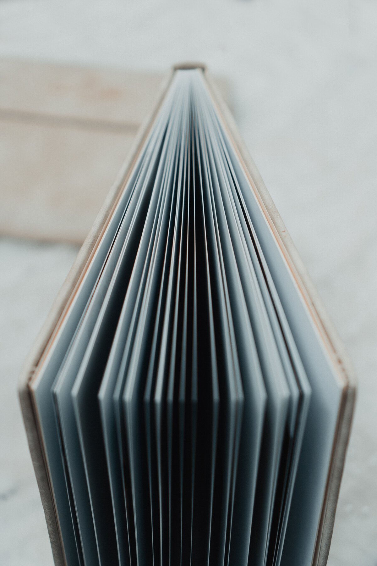 Tan portrait photo album book