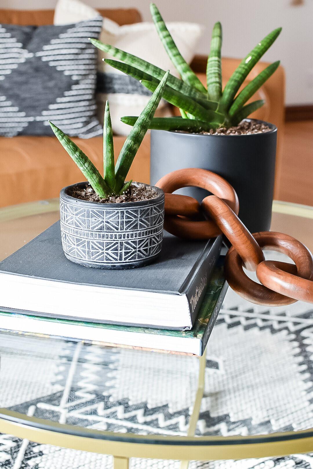 An aloe vera plant sits in a black and white geometric pot on a coffee table