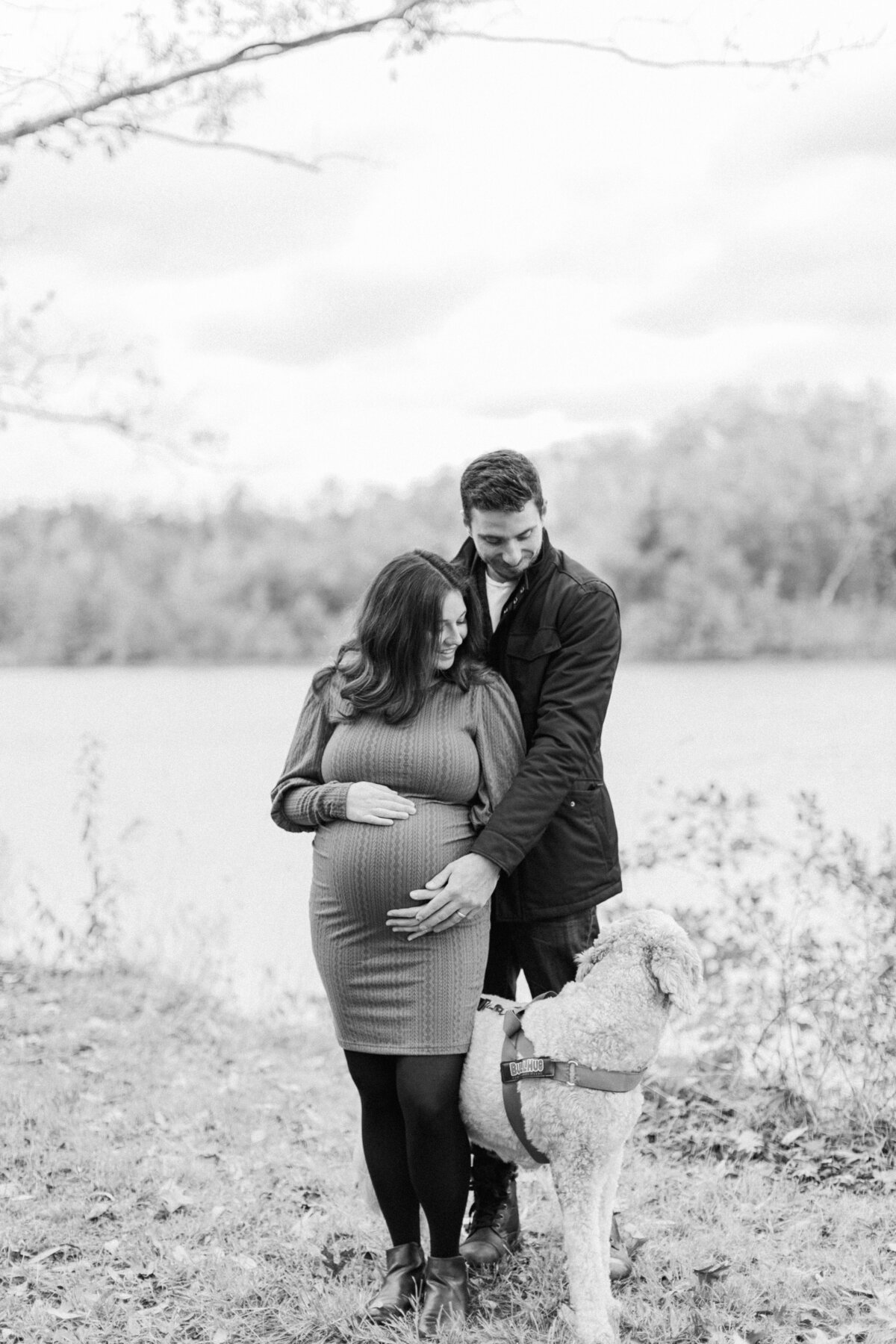 DmgImagery-2974