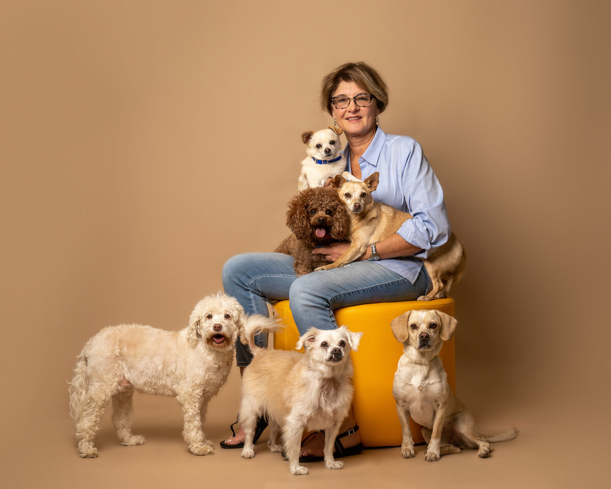 Dallas-dog-photography-studio-tan-group