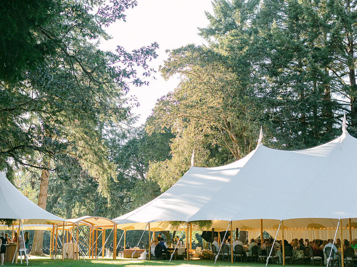 AshleyCookPhotography-7