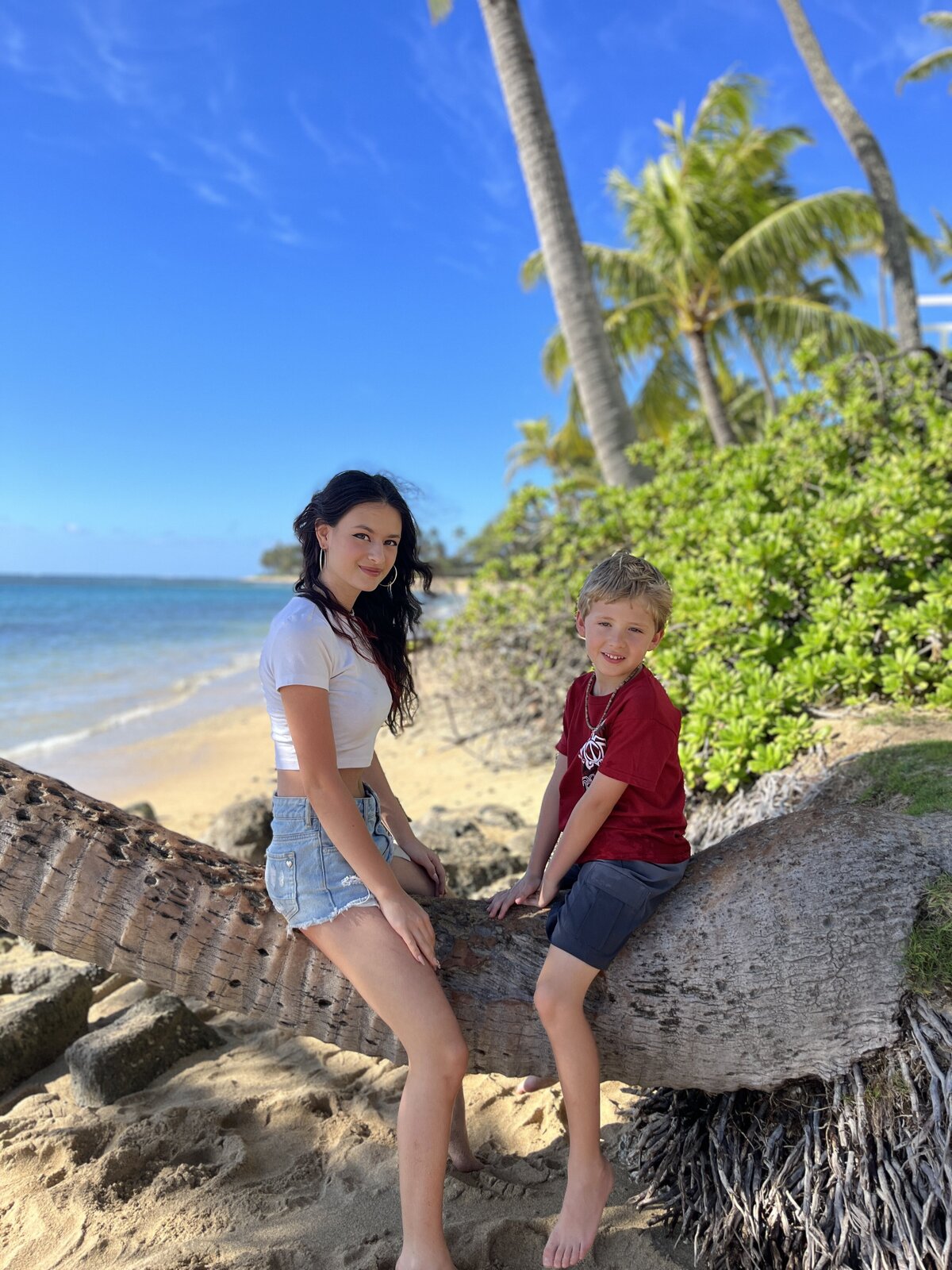 Sona's kids sitting on the trunk of a giant palm tree