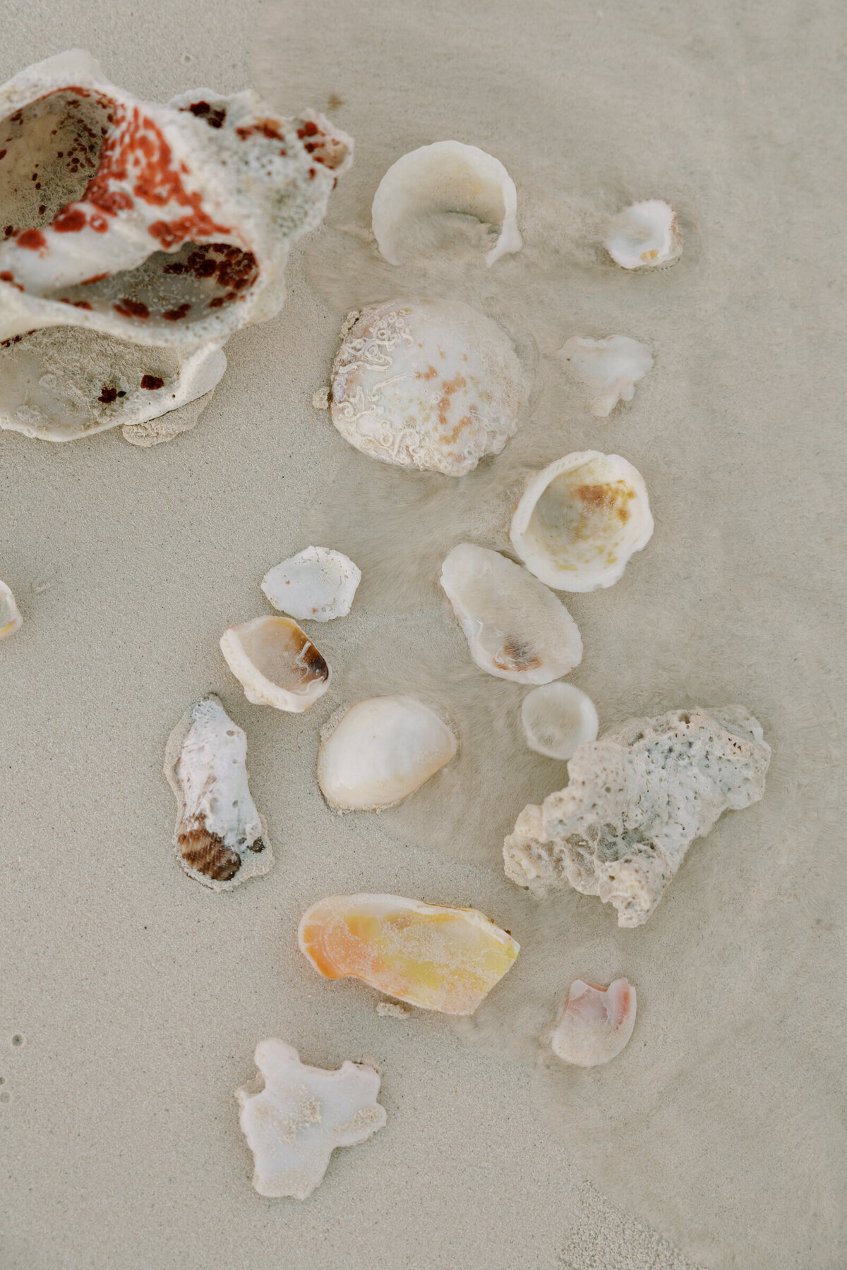 haute-stock-photography-subscription-holiday-mode-collecion-final-9