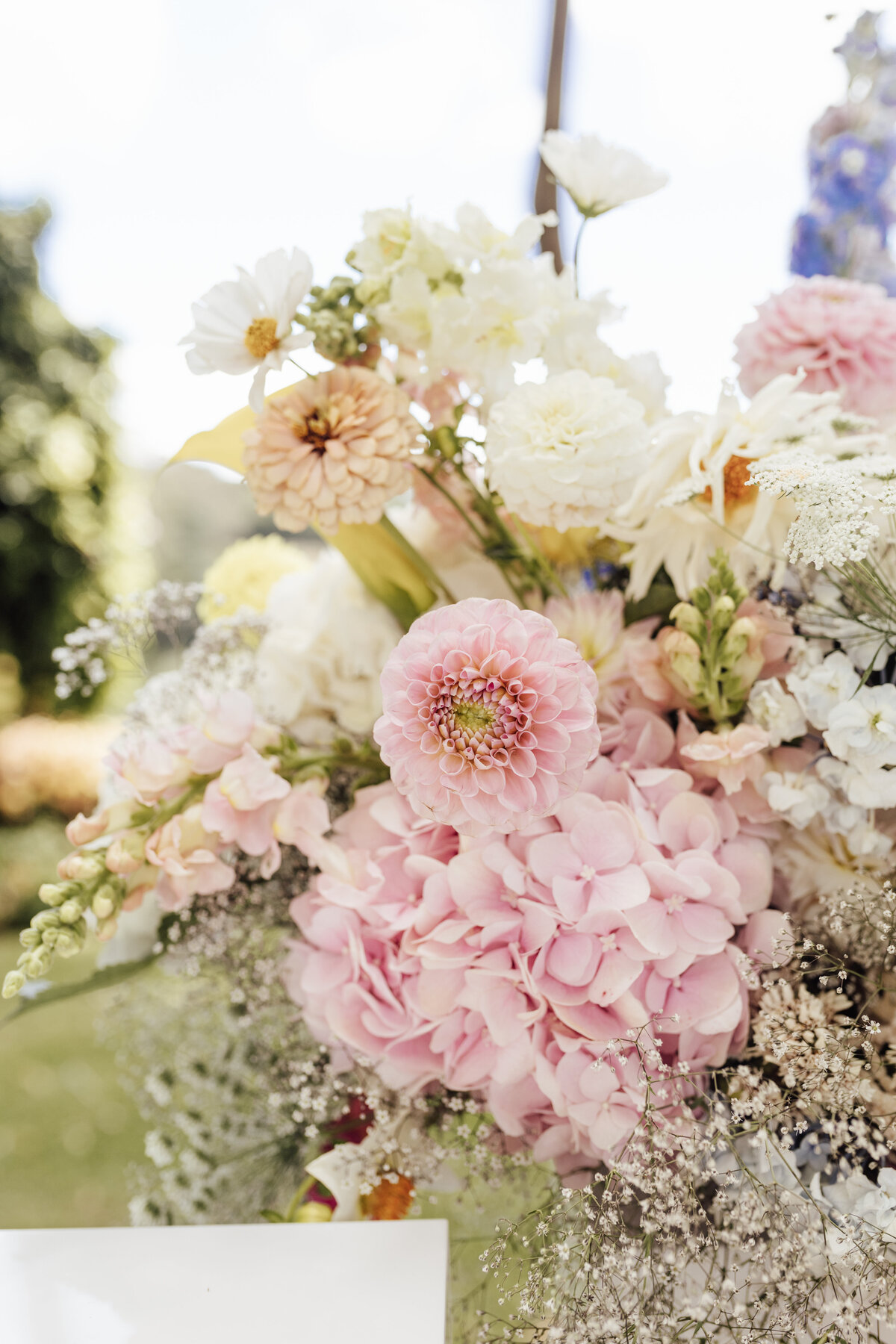 SNEAK PEEKS-1405