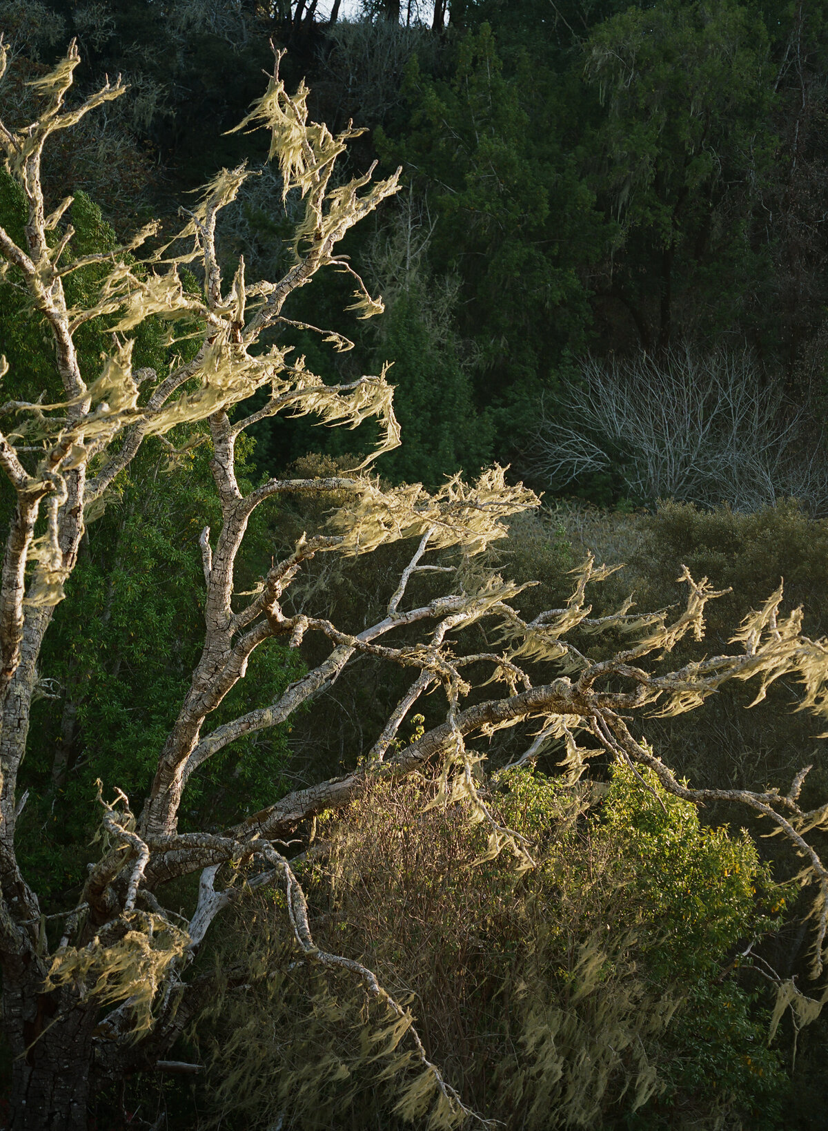 DT-2025-Kelcie&StevenPreview-64