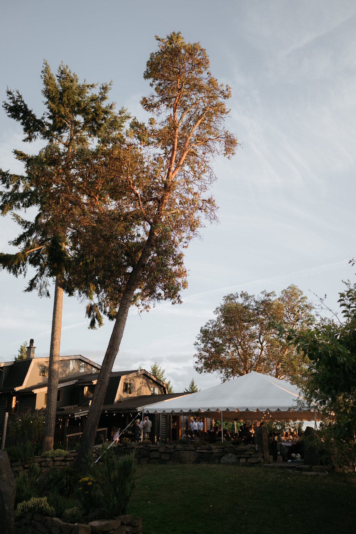 Bodega-Ridge-Wedding-Photos-Meghan-Hemstra-2021-250
