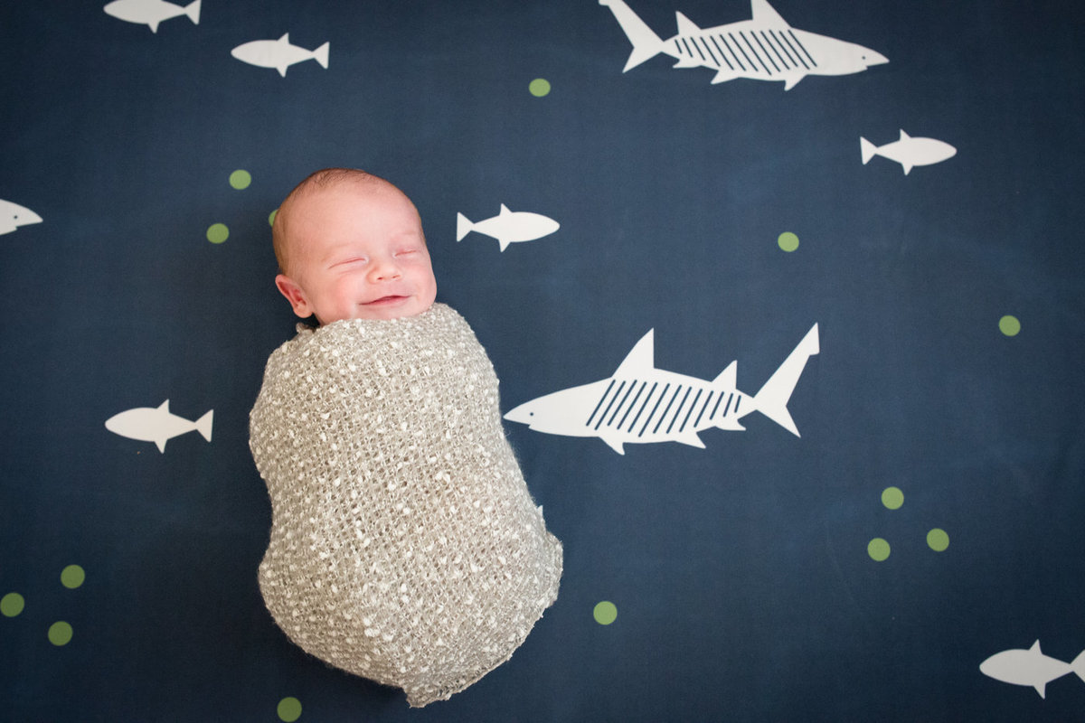 Newborn session 2017-Erin-0004