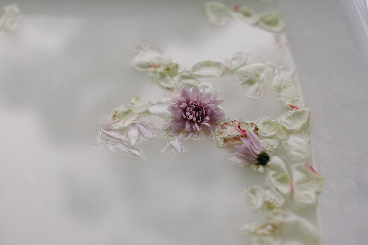Crystal-Jack-Blue-Mountains-Elopement-53