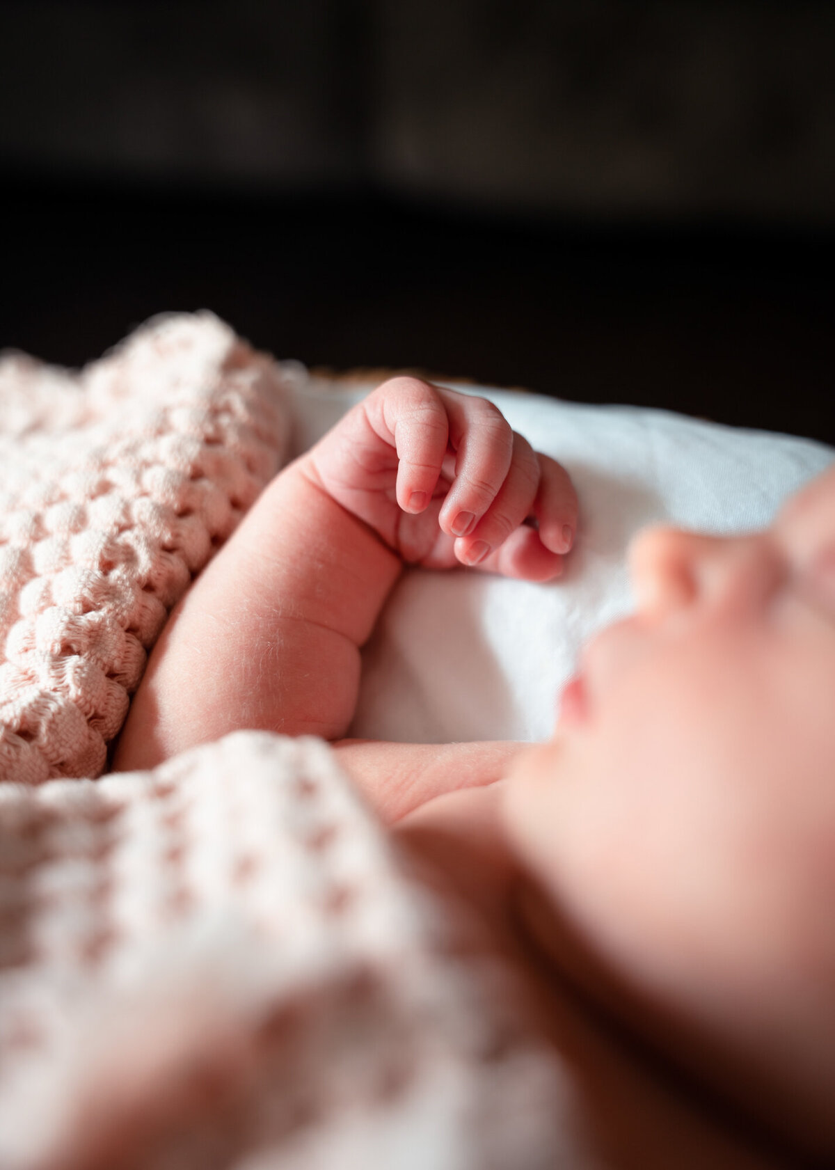Birth Story Studio Minneapolis St. Paul Maple Grove Twin Cities Minnesota Newborn Maternity Birth Family Photography Photographer Stephanie Lecker - WEB-6